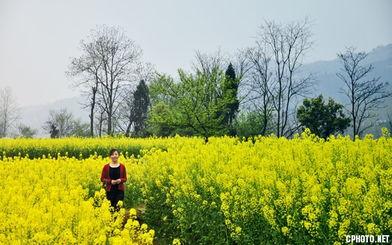 国产春色在线,探寻中国电影中的青春与色彩